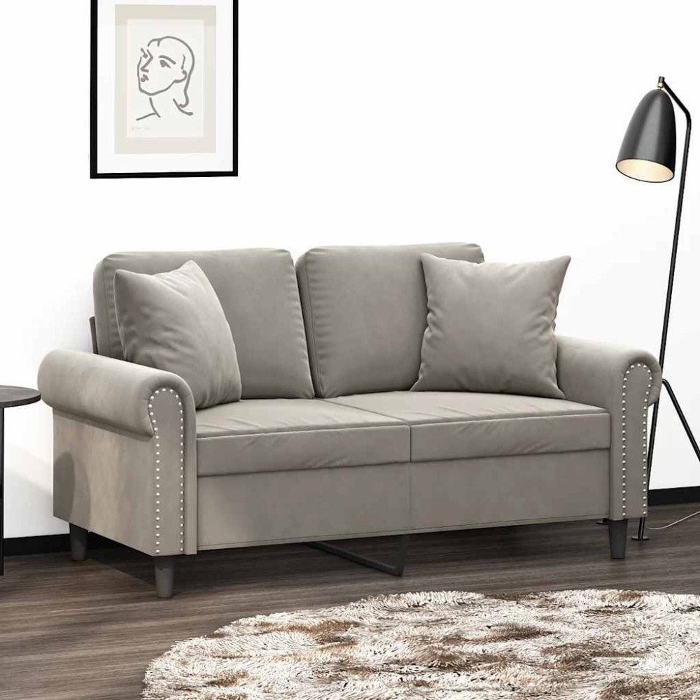 vidaXL 2-sitssoffa med kuddar och dynor ljusgrå 120 cm sammet