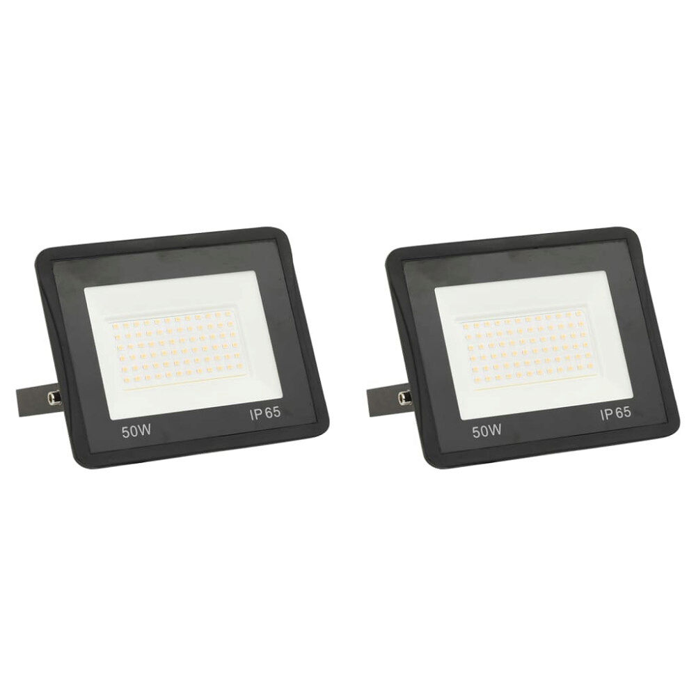 vidaXL Strålkastare 2 st 50 W LED kallvit