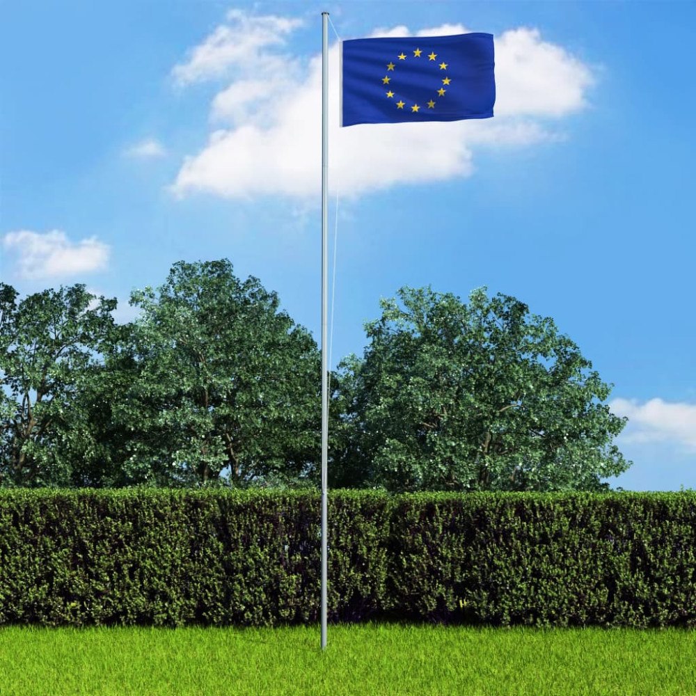 vidaXL Europeiska flaggan 90x150 cm