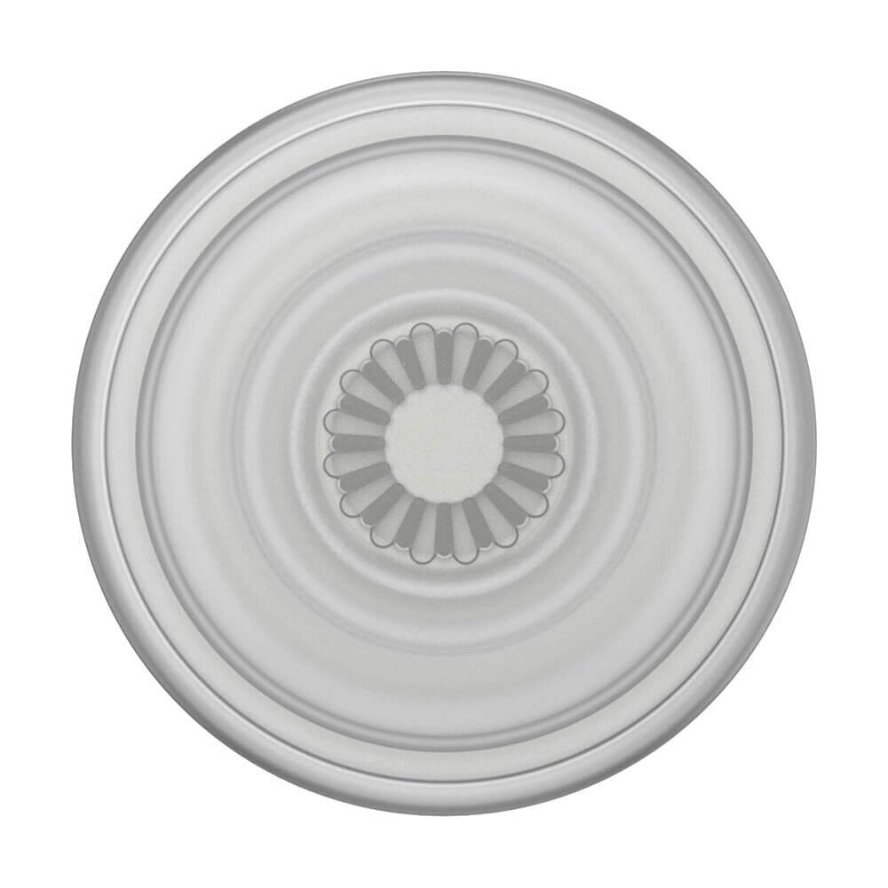 POPSOCKETS PopGrip Plant Faded Stone