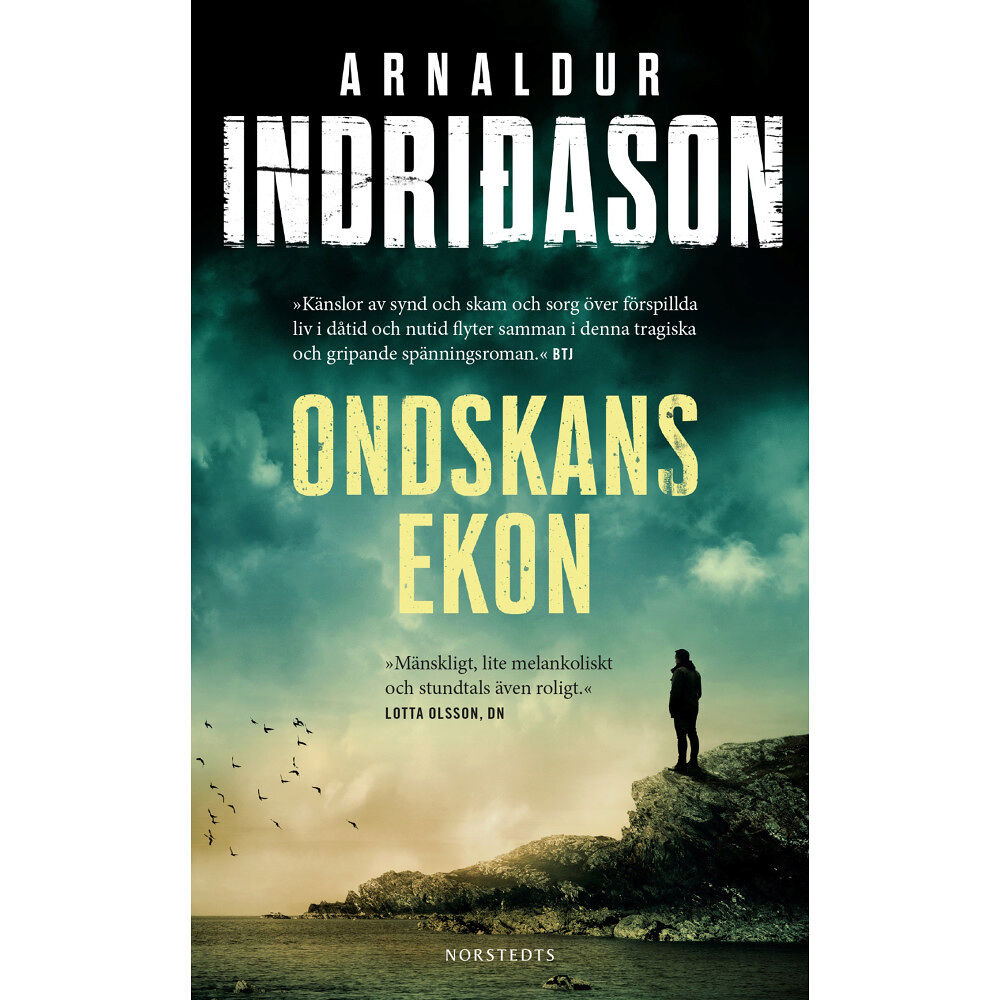 Arnaldur Indridason Ondskans ekon (pocket)