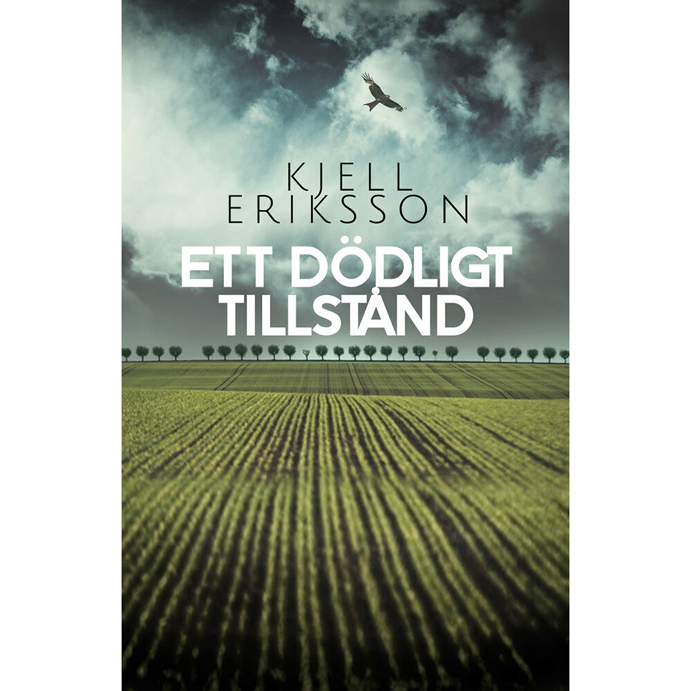 Kjell Eriksson Ett dödligt tillstånd (inbunden)