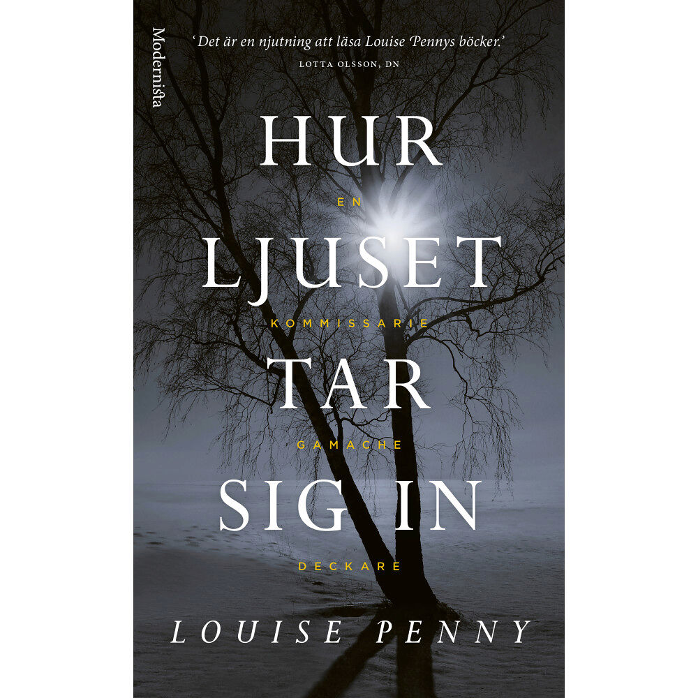 Louise Penny Hur ljuset tar sig in (pocket)