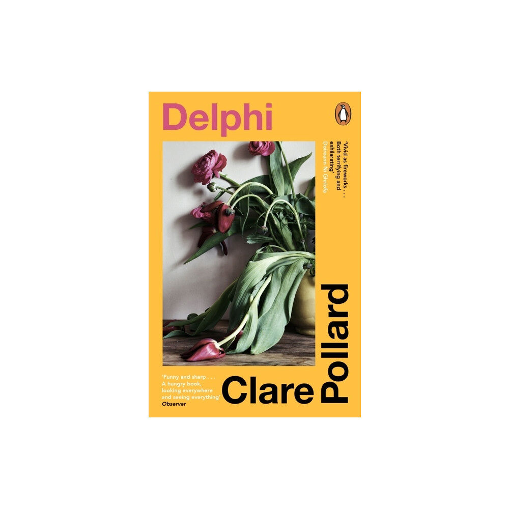 Clare Pollard Delphi (pocket, eng)