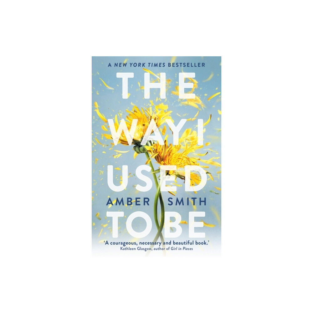 Amber Smith The Way I Used to Be (pocket, eng)