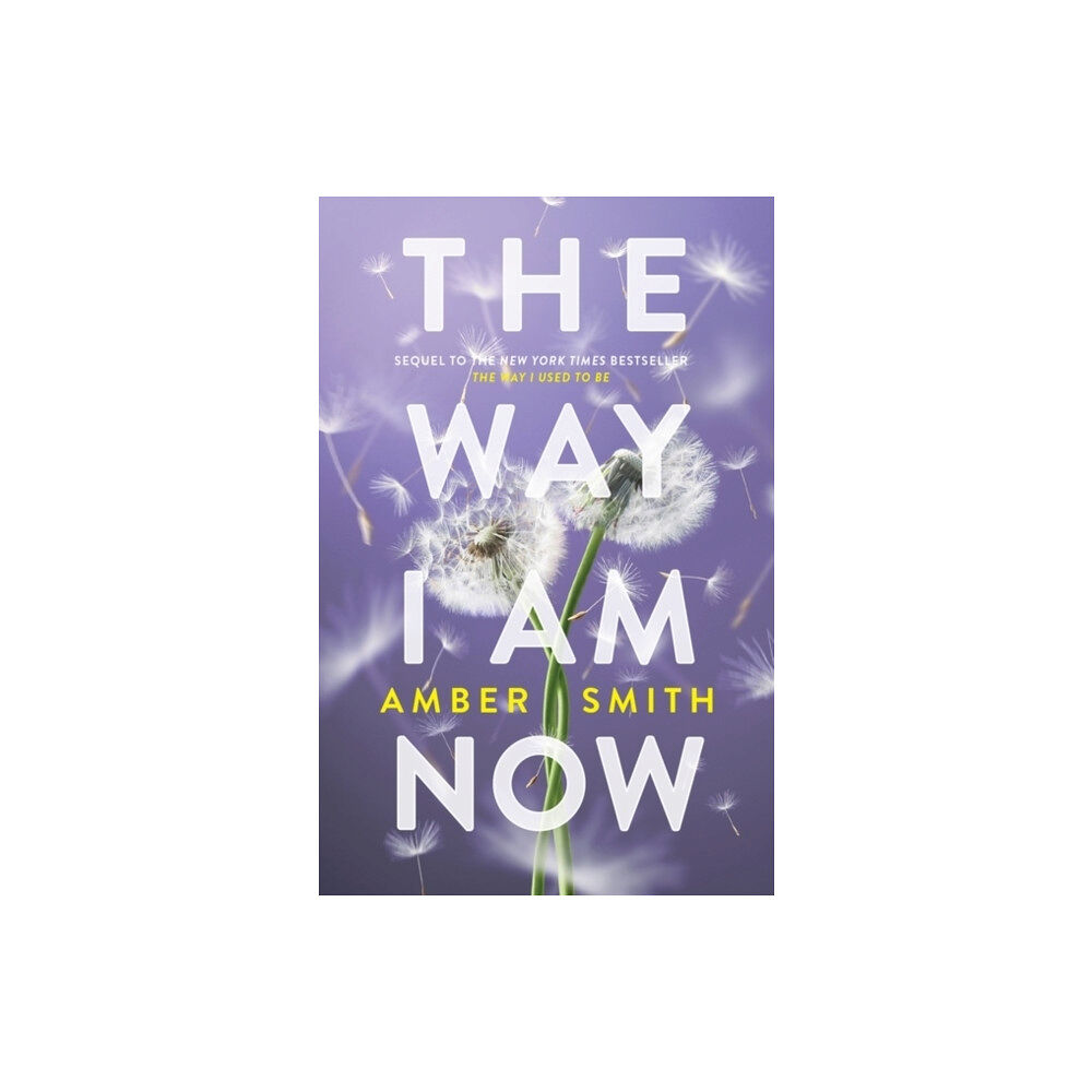 Amber Smith The Way I Am Now (pocket, eng)