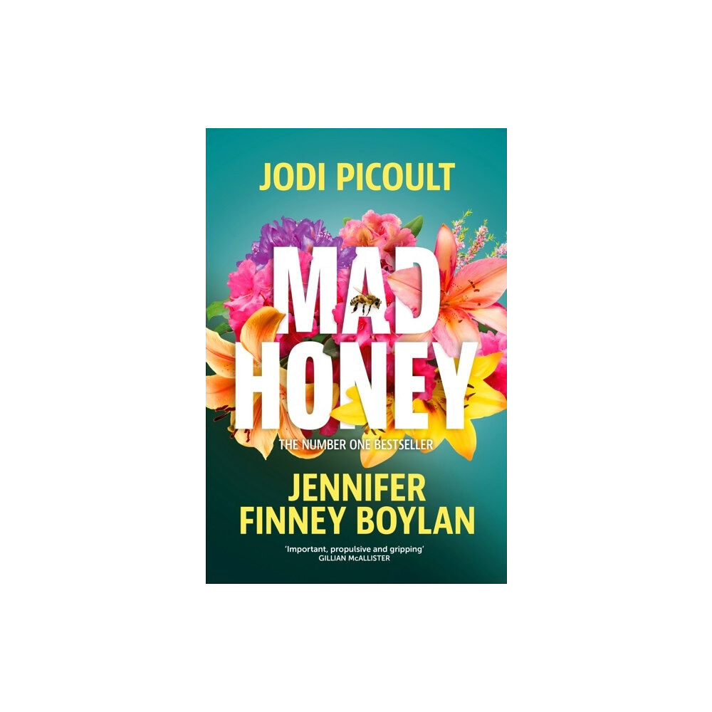 Jodi Picoult Mad Honey (pocket, eng)