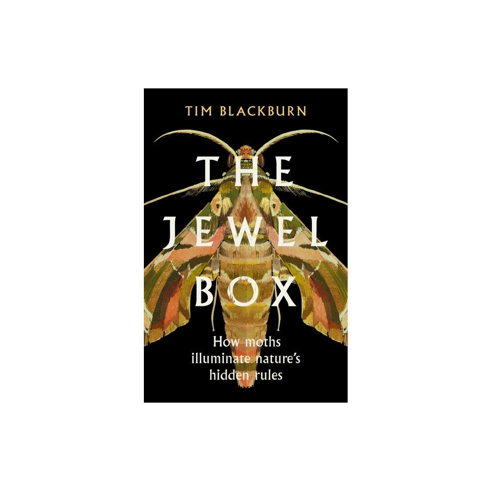 Tim Blackburn The Jewel Box (häftad, eng)
