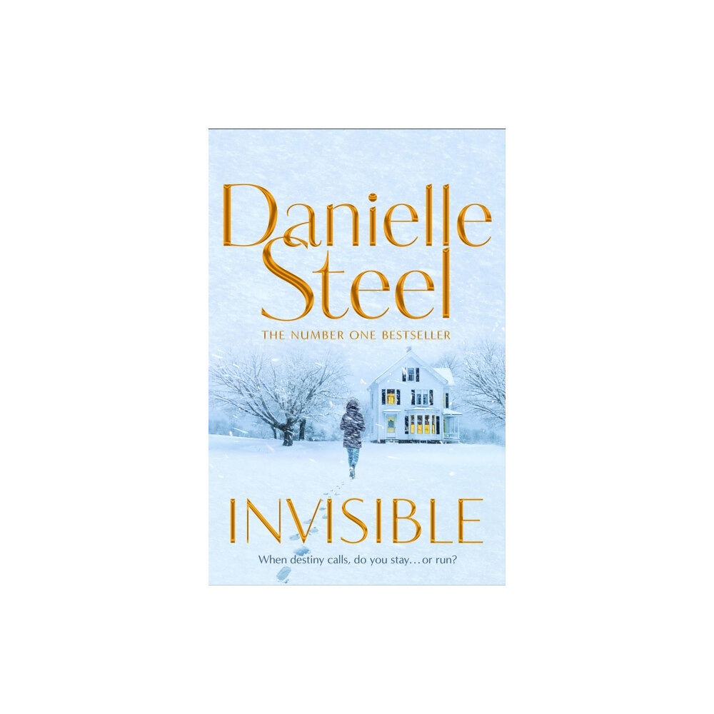 Danielle Steel Invisible (häftad, eng)