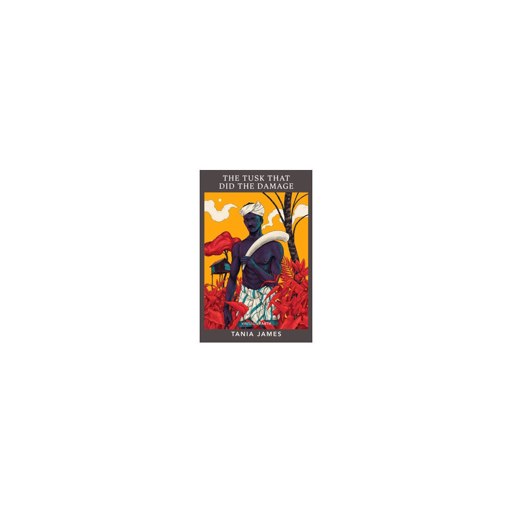 Tania James Tusk That Did the Damage (pocket, eng)