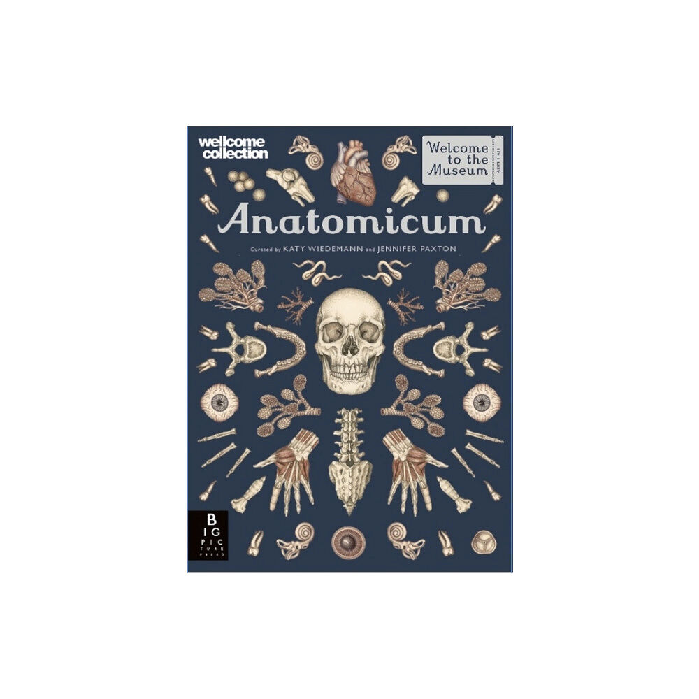 Jennifer Paxton Anatomicum (inbunden, eng)