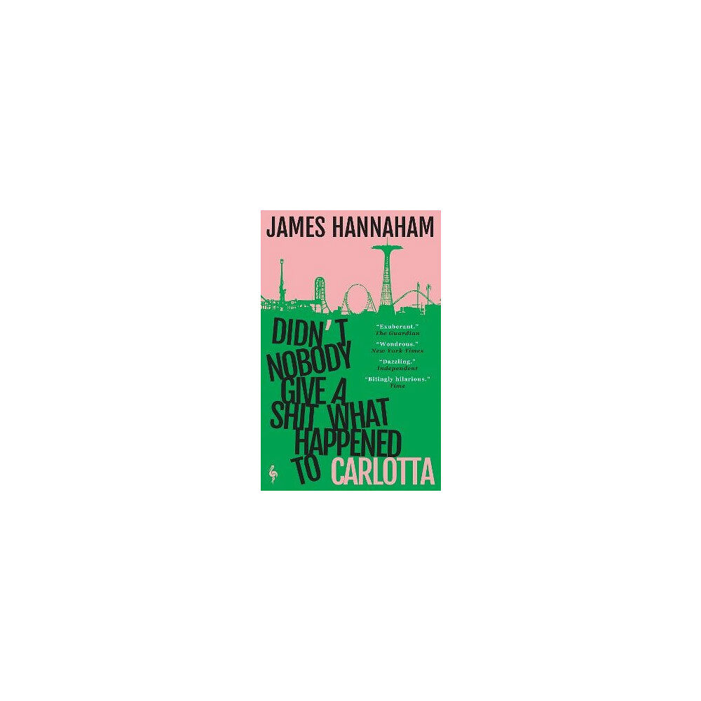 James Hannaham Didn't Nobody Give a Shit What Happened to Carlotta (pocket, eng)