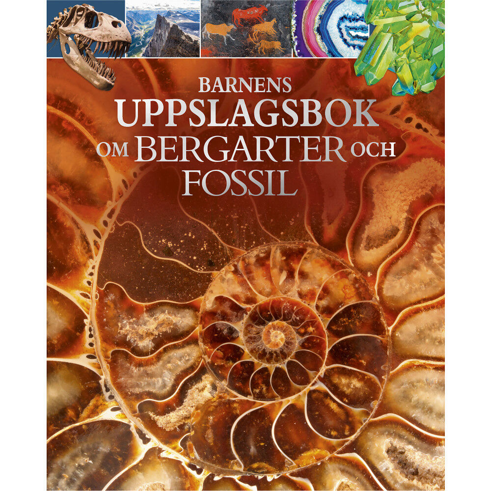 Claudia Martin Barnens uppslagsbok om bergarter och fossil (inbunden)