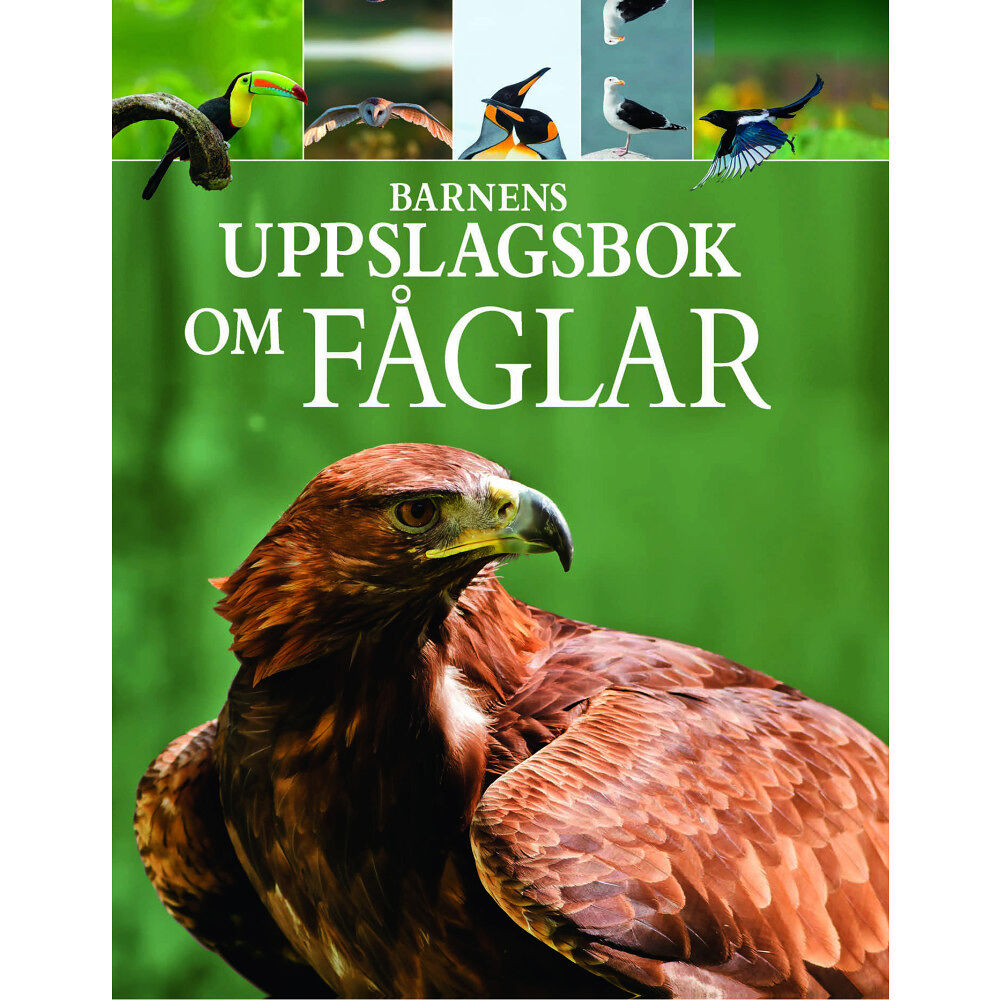 Claudia Martin Barnens uppslagsbok om fåglar (inbunden)