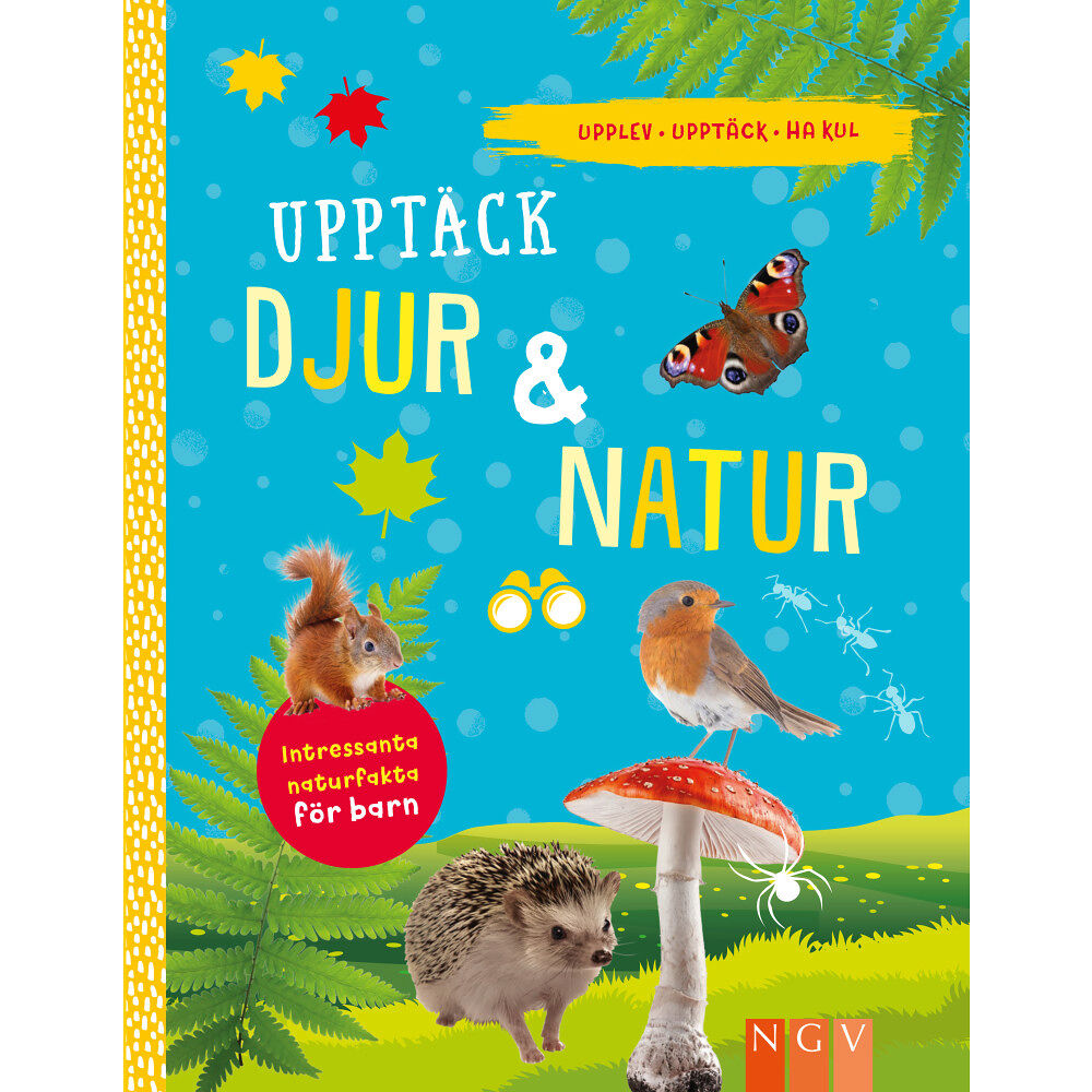 Markus Würmli Upptäck djur & natur (inbunden)