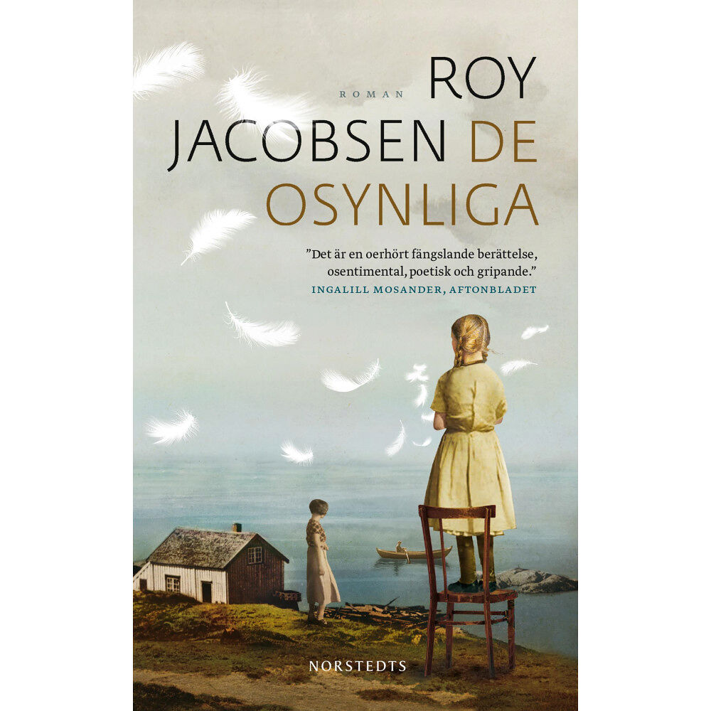 Roy Jacobsen De osynliga (pocket)