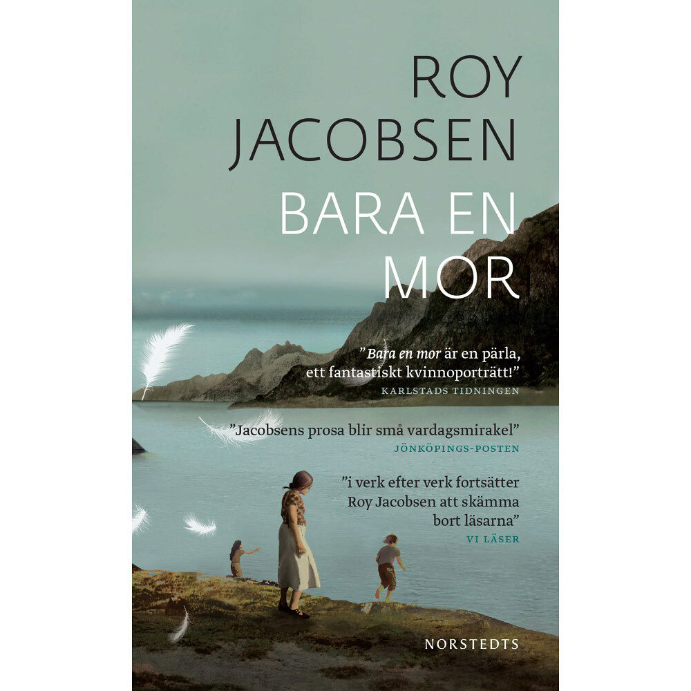 Roy Jacobsen Bara en mor (pocket)