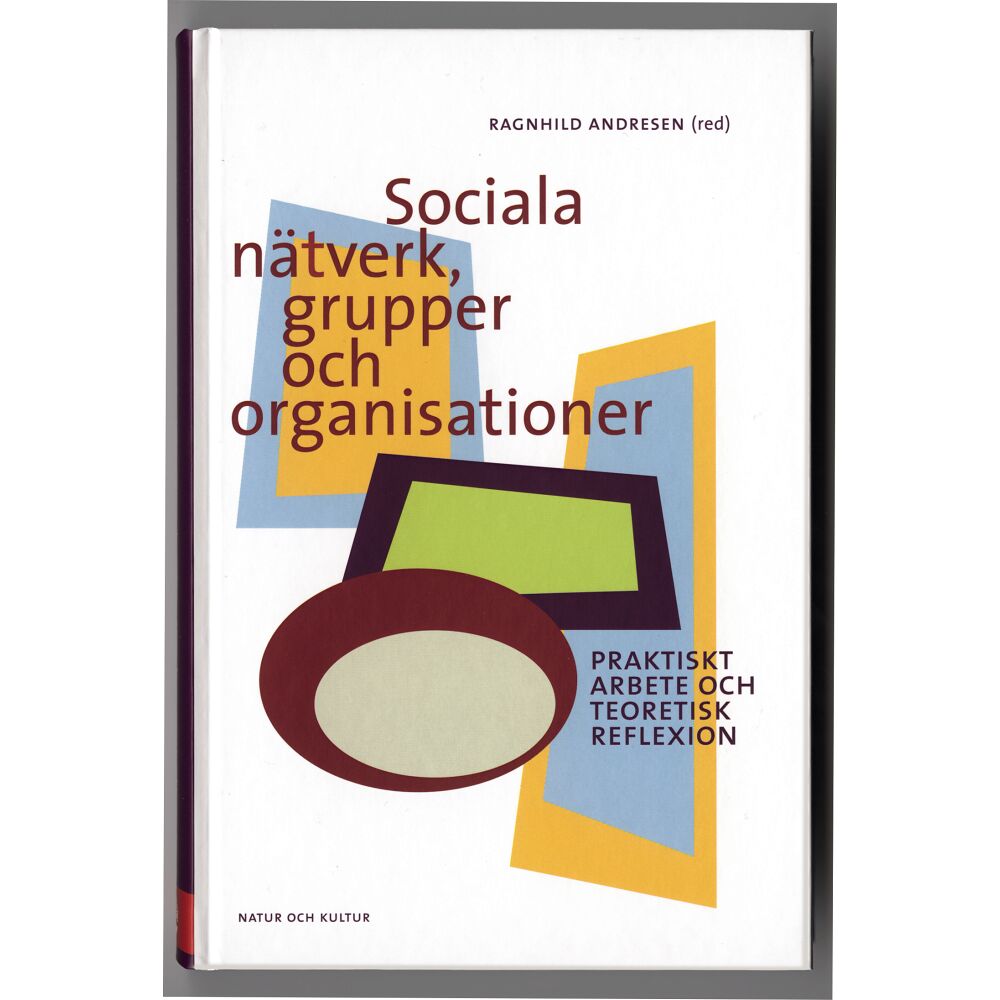 Natur & Kultur Akademisk Sociala nätverk, grupper och organisationer : praktiskt arbete och teoretisk reflexion (bok, kartonnage)