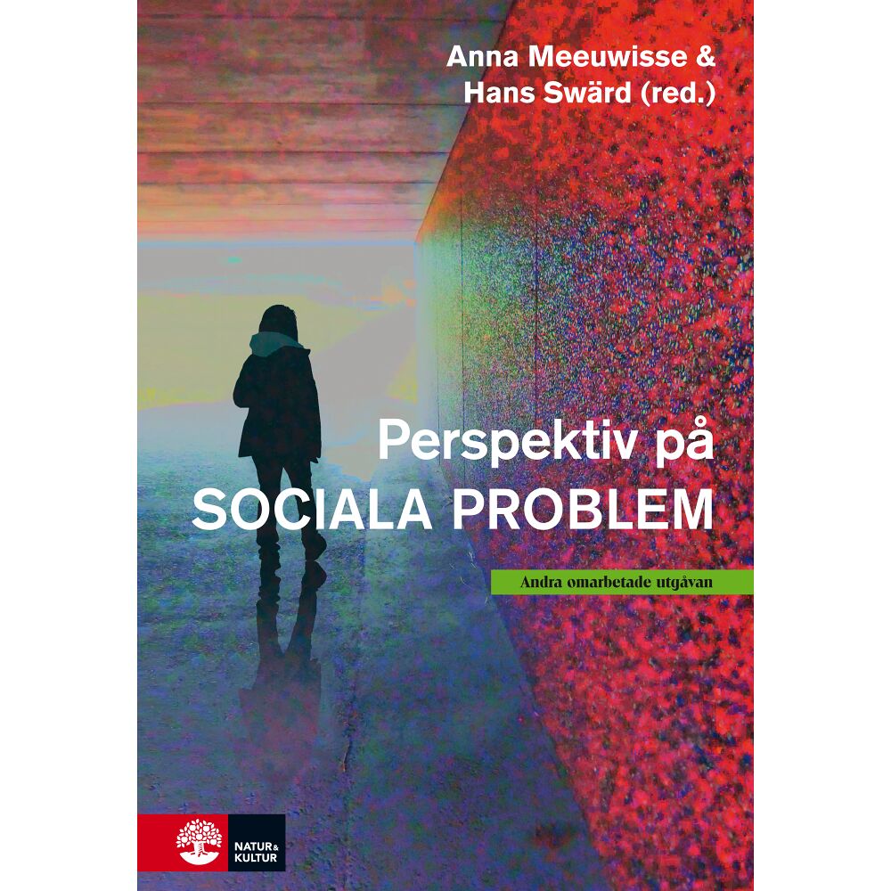 Anna Meeuwisse Perspektiv på sociala problem (bok, kartonnage)