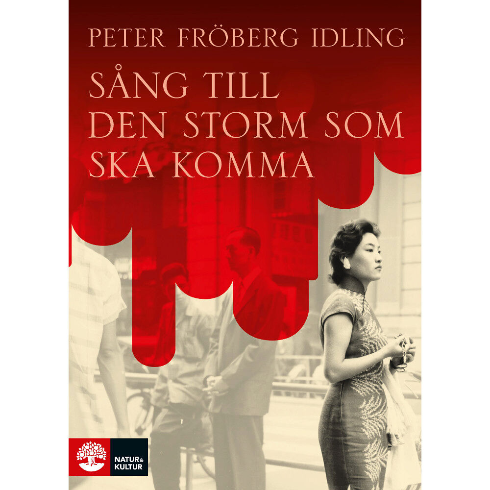 Peter Fröberg Idling Sång till den storm som ska komma (pocket)
