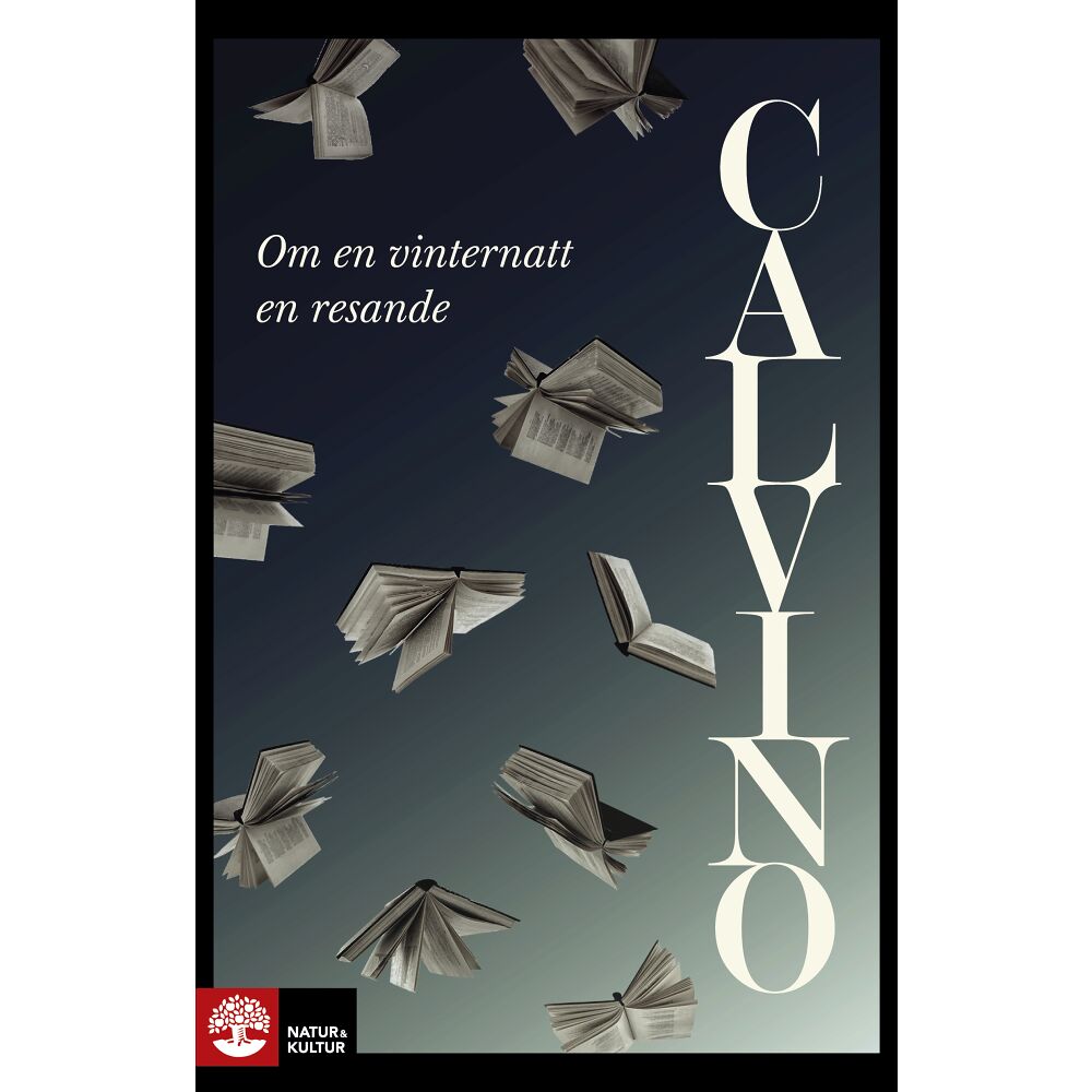 Italo Calvino Om en vinternatt en resande (bok, danskt band)