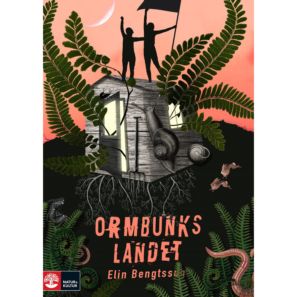 Elin Bengtsson Ormbunkslandet (pocket)