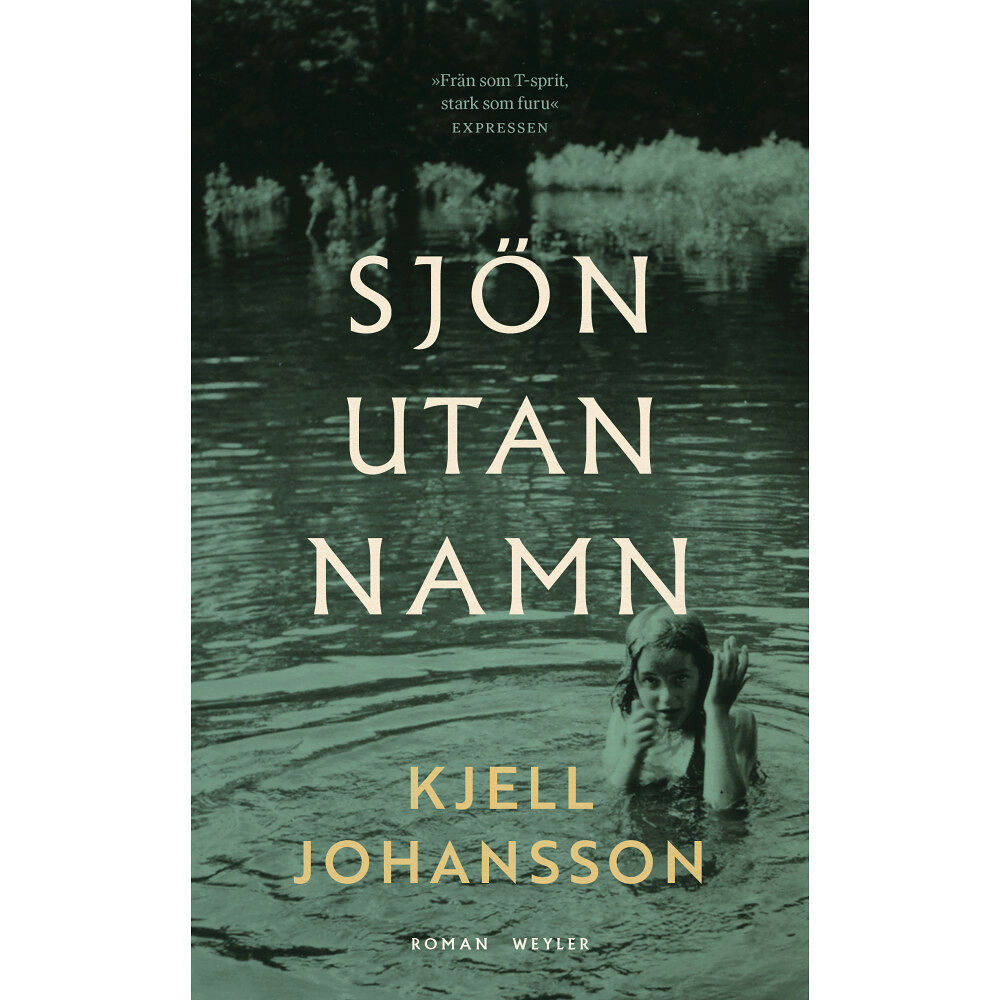 Kjell Johansson Sjön utan namn (pocket)