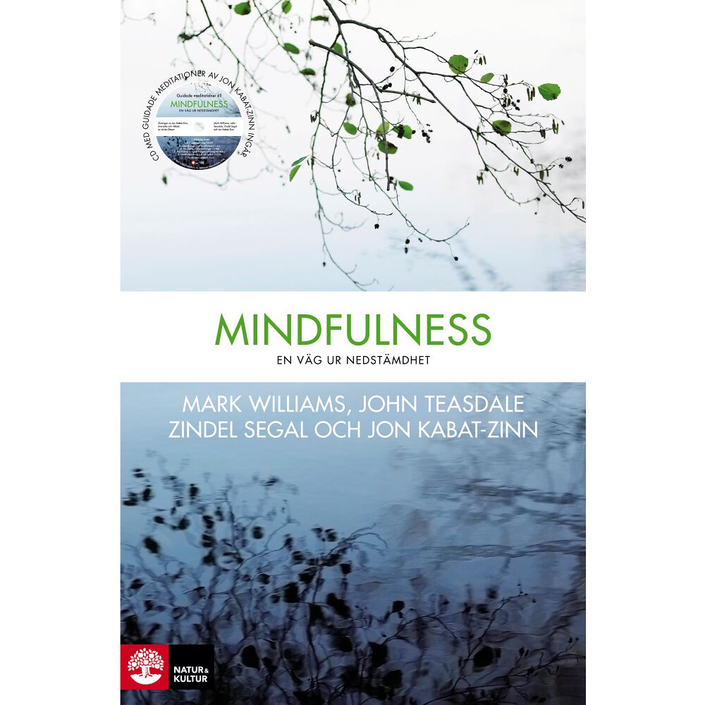Mark Williams Mindfulness : en väg ur nedstämdhet (inbunden)