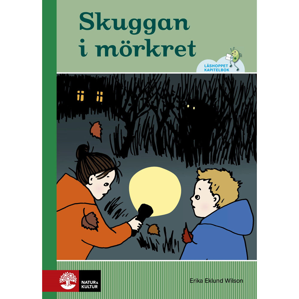 Erika Eklund Wilson Skuggan i mörkret (inbunden)