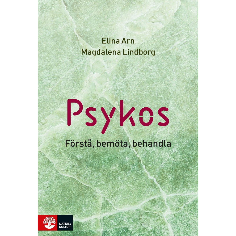 Elina Arn Psykos : förstå, bemöta, behandla (inbunden)
