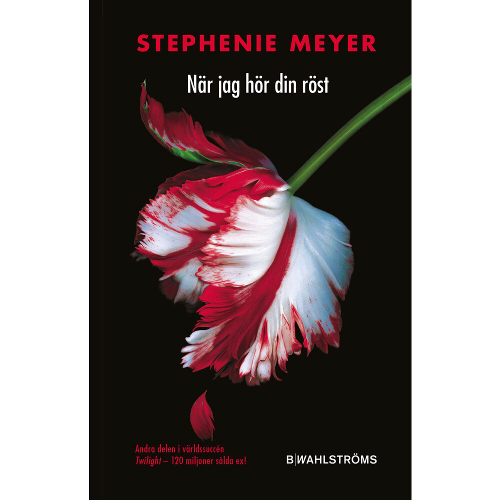 Stephenie Meyer När jag hör din röst (pocket)