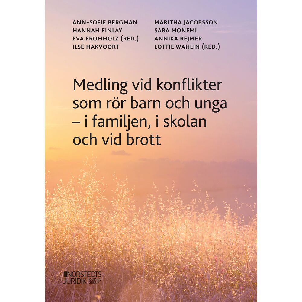 Hannah Finlay Medling i konflikter som rör barn och unga :  i familjen, i skolan och vid brott (häftad)