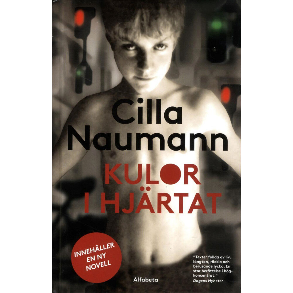 Cilla Naumann Kulor i hjärtat (bok, kartonnage)