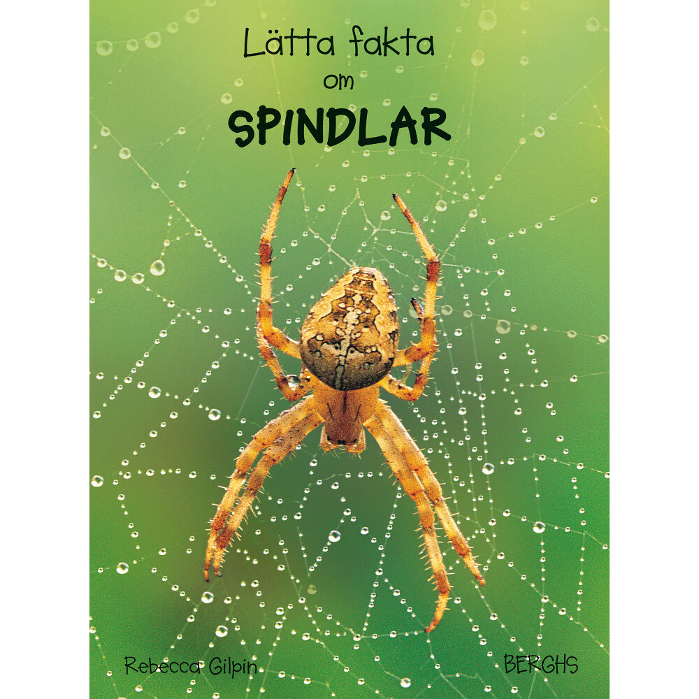 Rebecca Gilpin Lätta fakta om spindlar (inbunden)