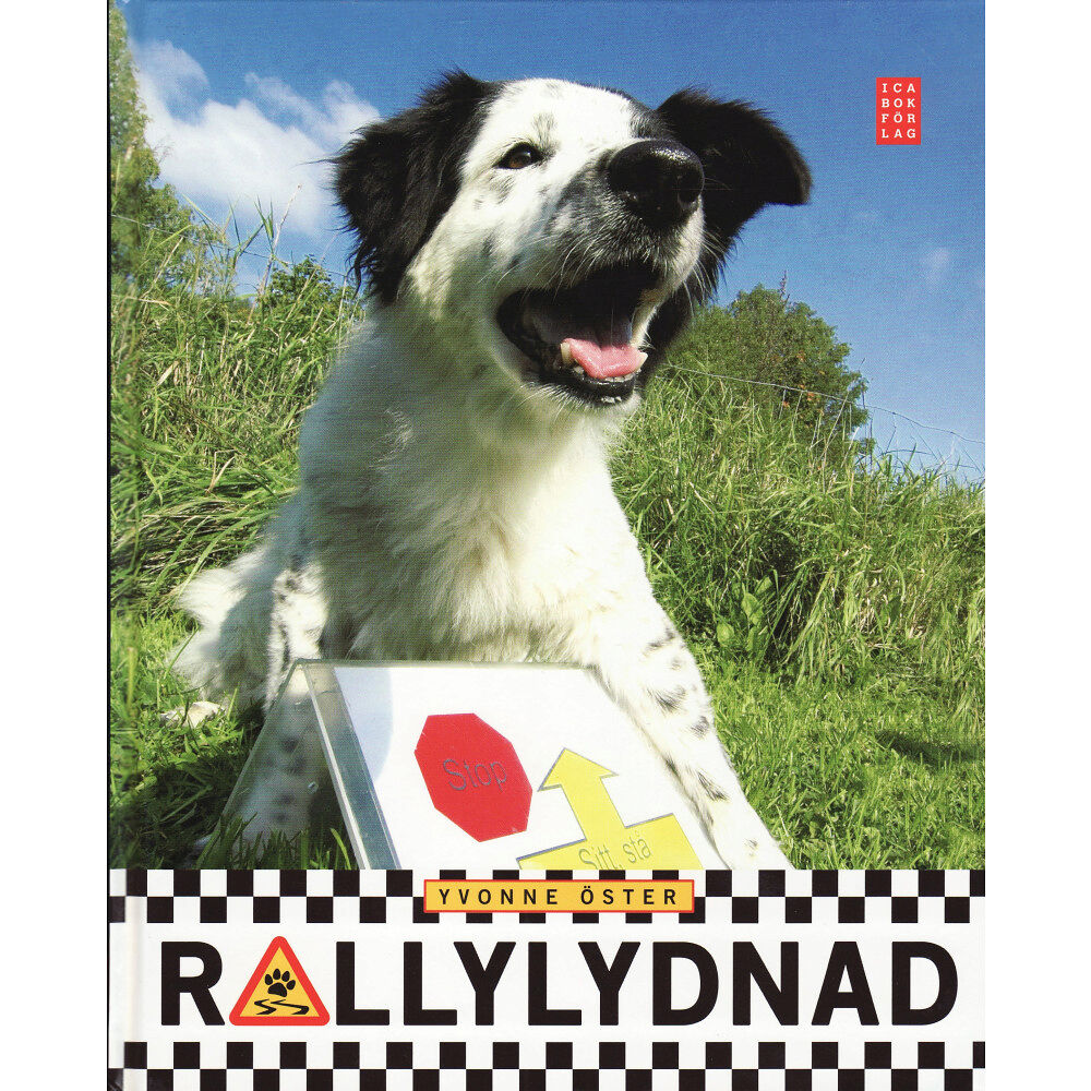 Ica Bokförlag Rallylydnad (inbunden)