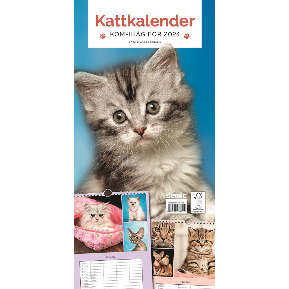 Bokförlaget Semic Kattkalender 2024 (bok, spiral)