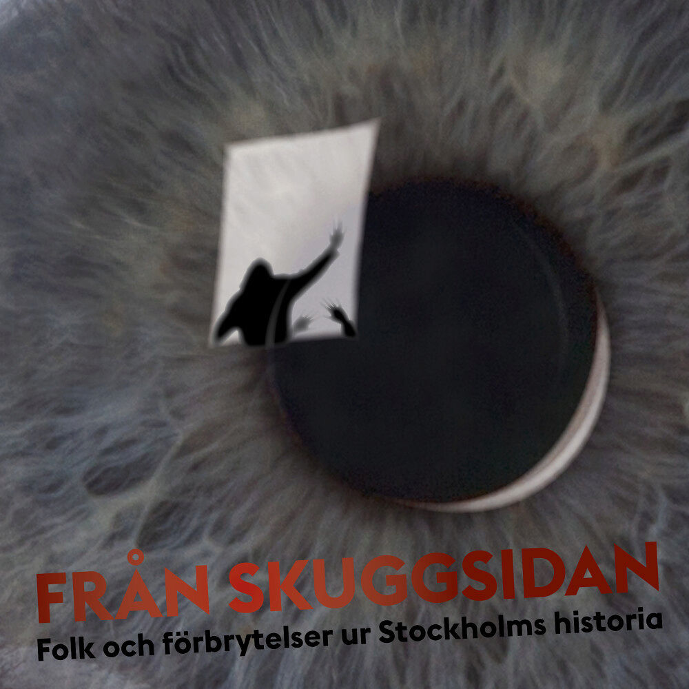 Stockholmia förlag Från skuggsidan : folk och förbrytelser ur Stockholms historia (häftad)