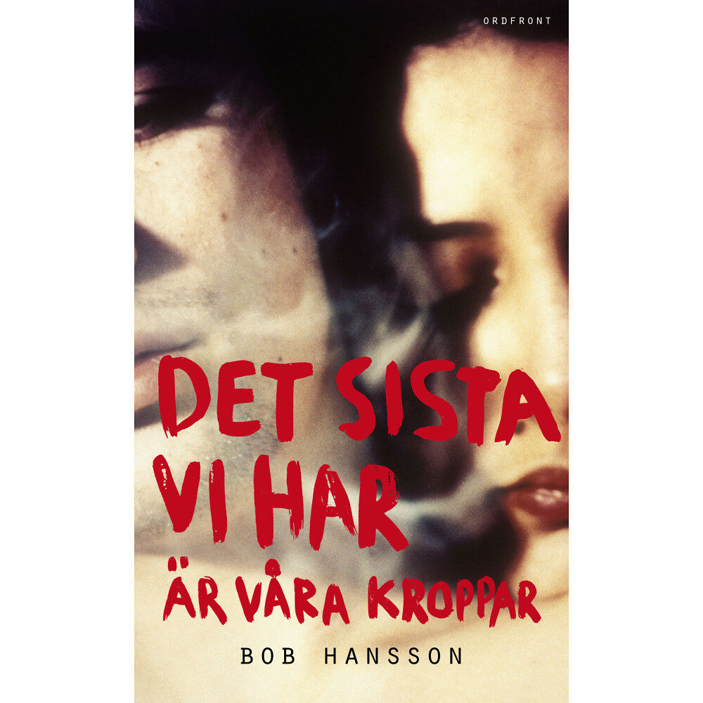 Bob Hansson Det sista vi har är våra kroppar (pocket)