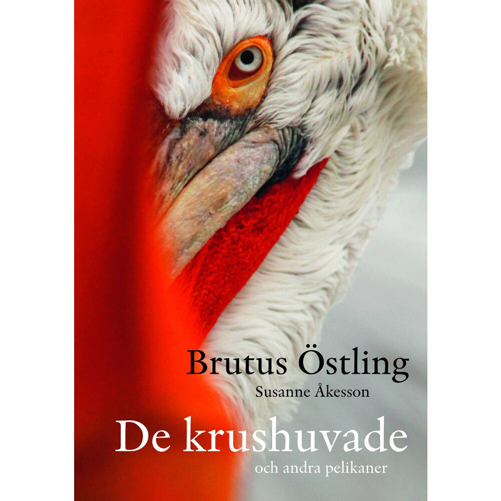Brutus Östlings bokf Symposion De krushuvade : och andra pelikaner (inbunden)