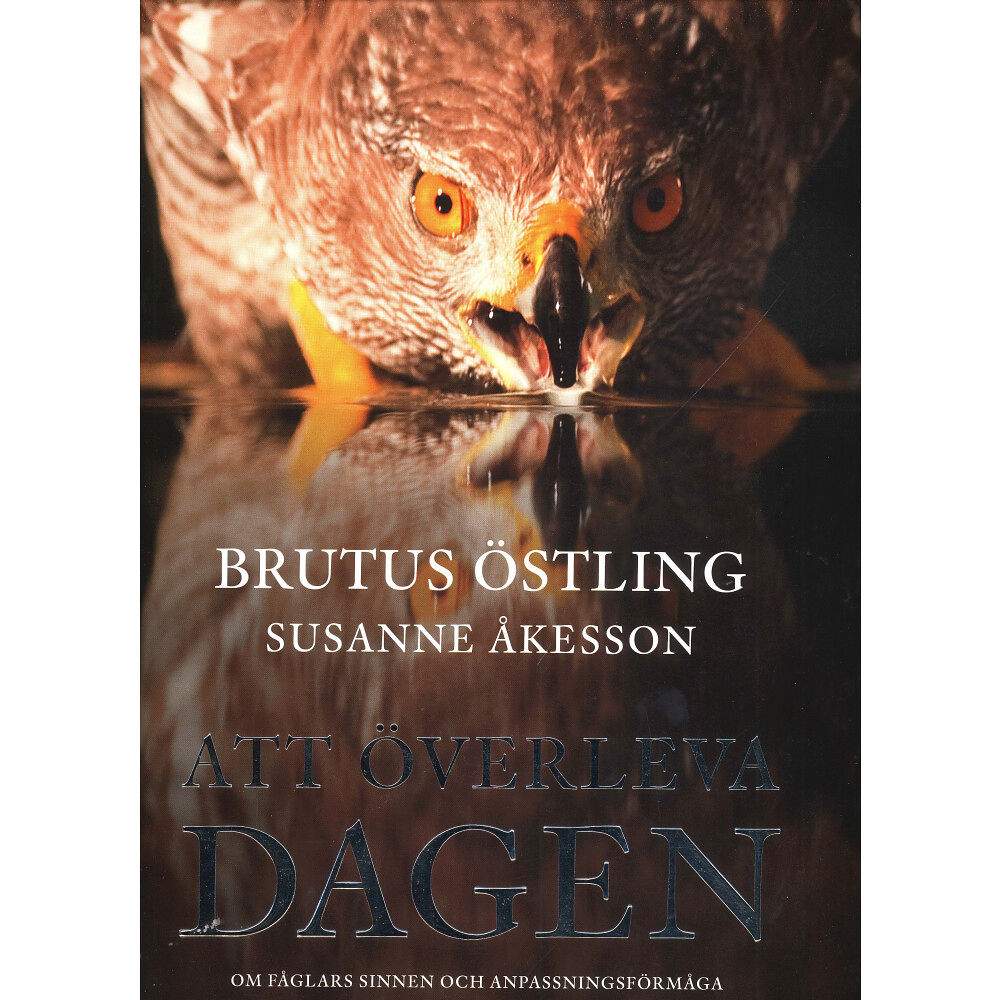 Brutus Östling Att överleva dagen (bok, kartonnage)