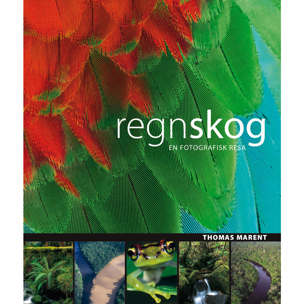Thomas Marent Regnskog : [en fotografisk resa] (inbunden)