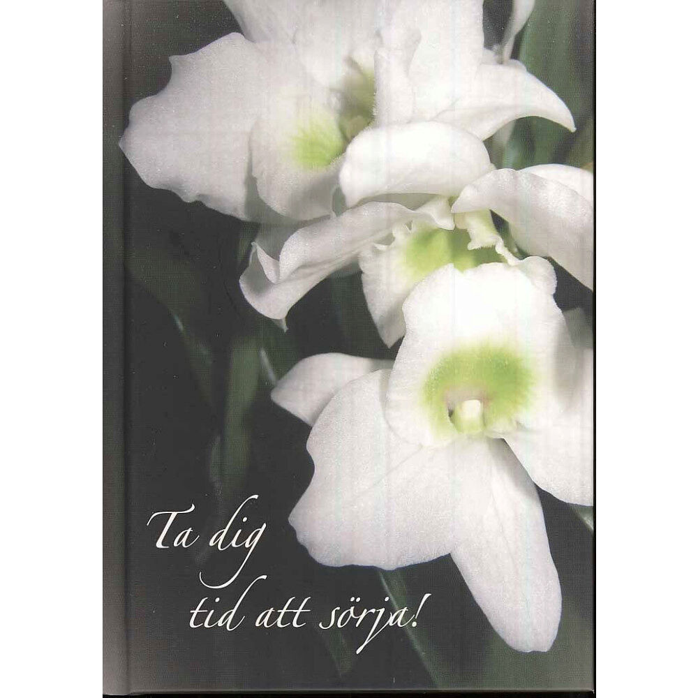 Karen Katafiasz Ta dig tid att sörja (inbunden)