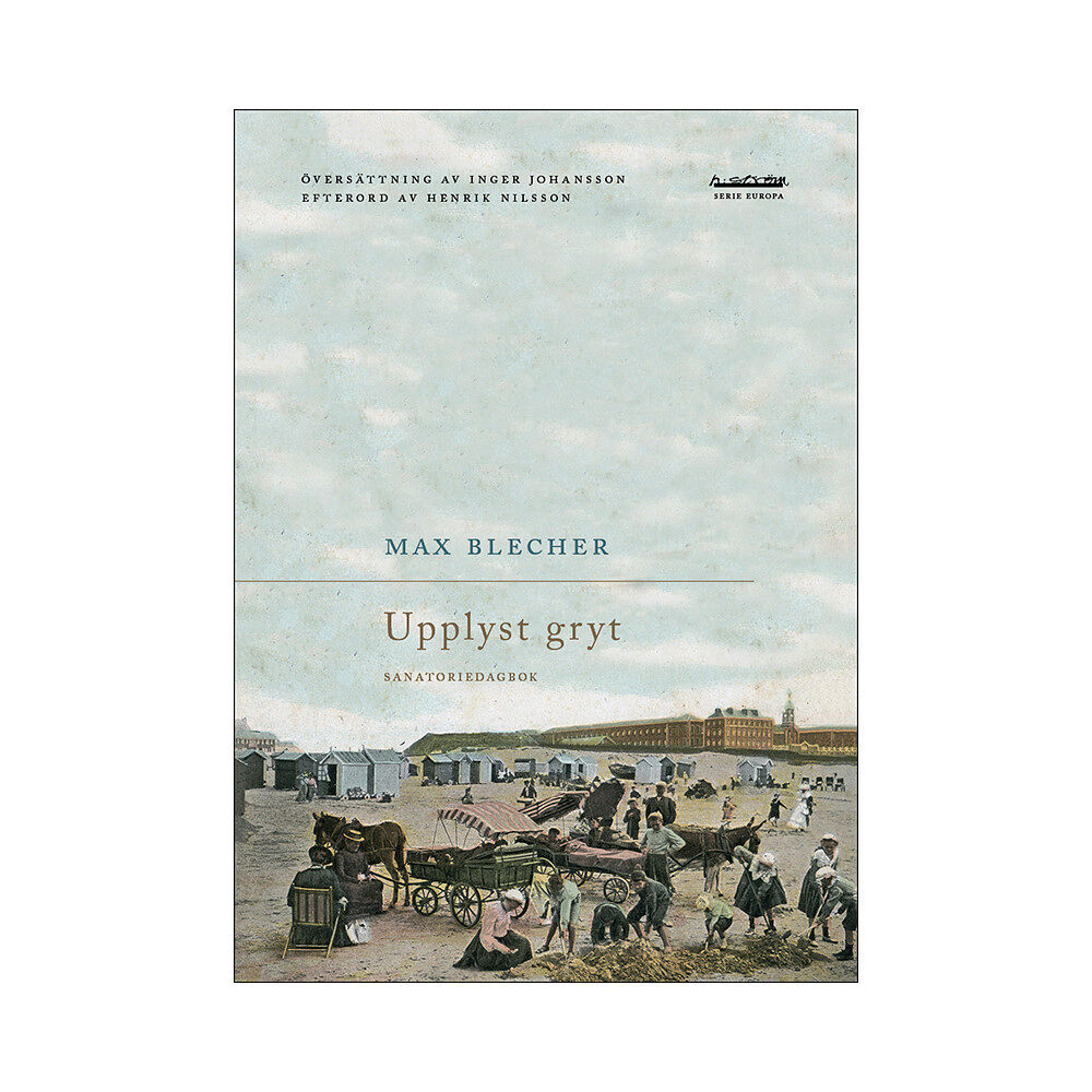 Max Blecher Upplyst gryt : sanatoriedagbok (bok, danskt band)