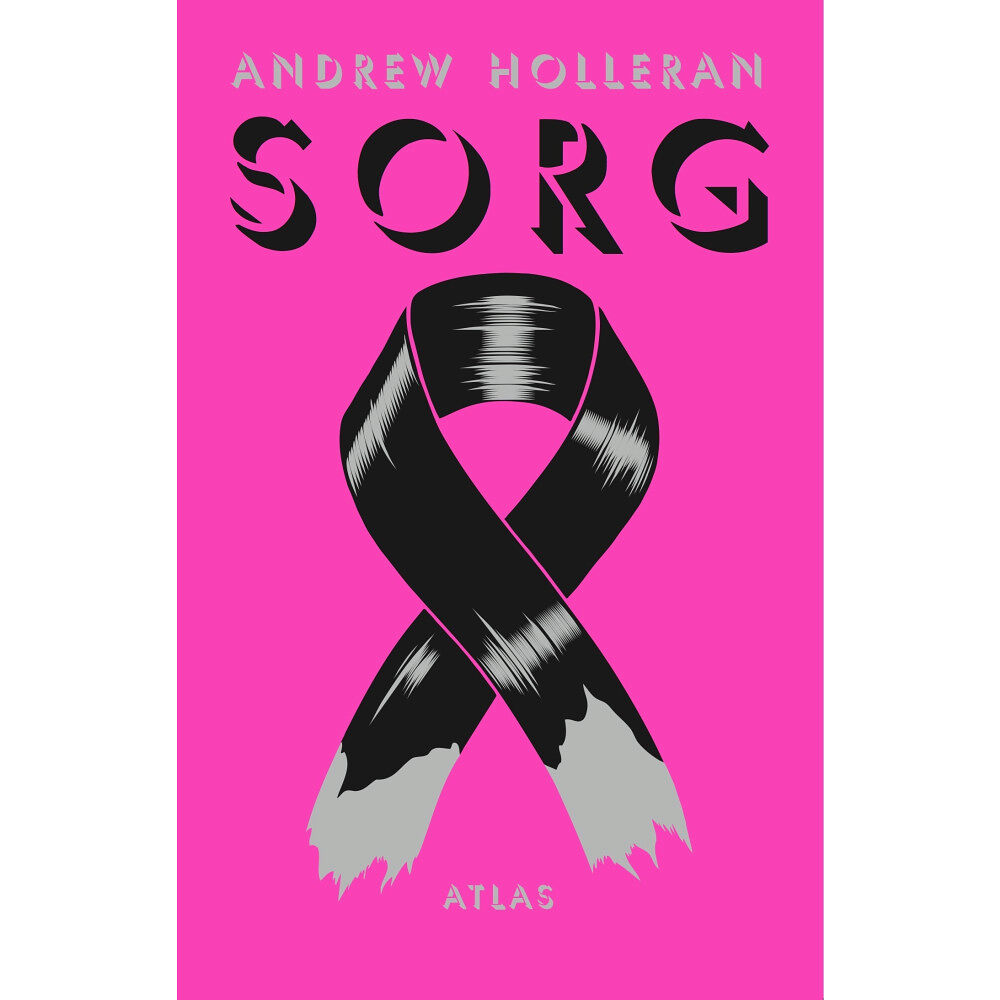 Andrew Holleran Sorg (inbunden)