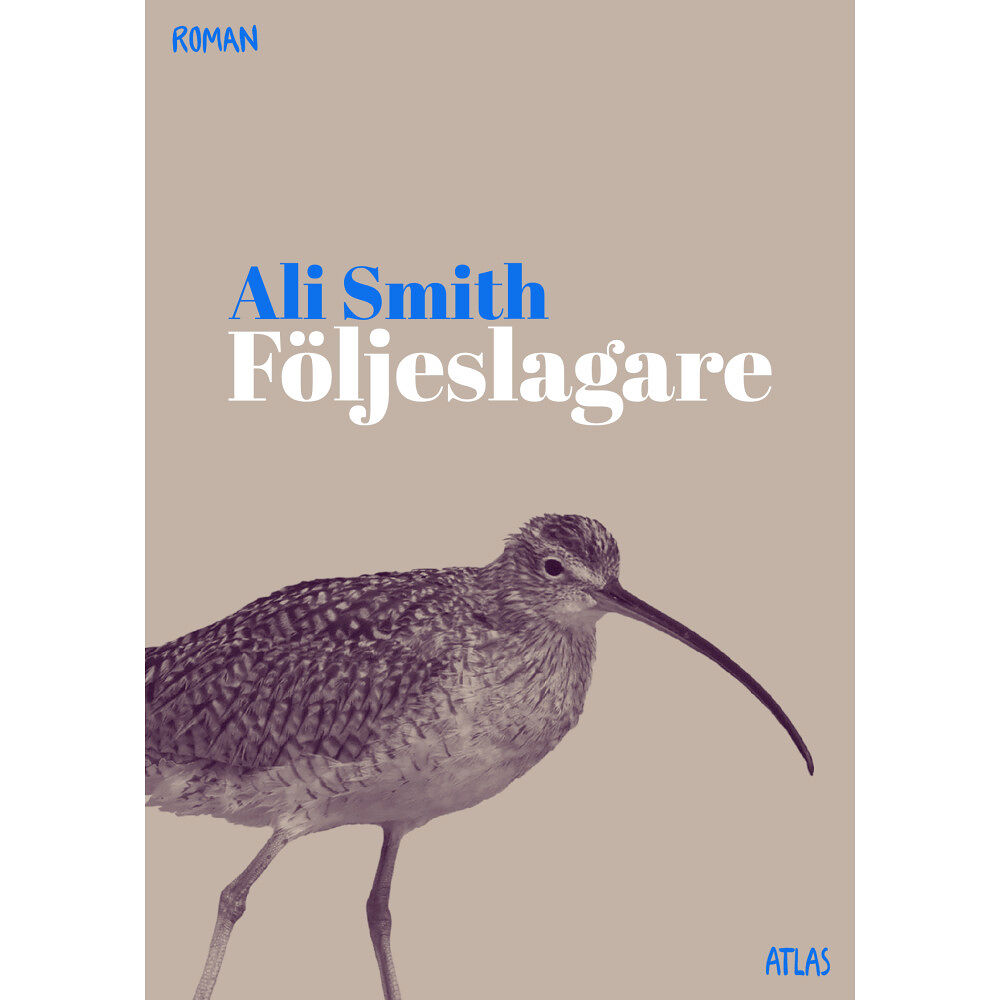 Ali Smith Följeslagare (bok, kartonnage)