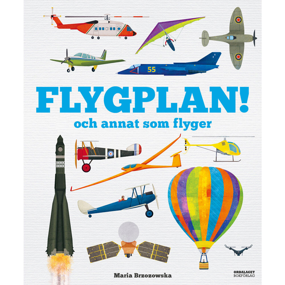 Bryony Davies Flygplan! och annat som flyger (inbunden)