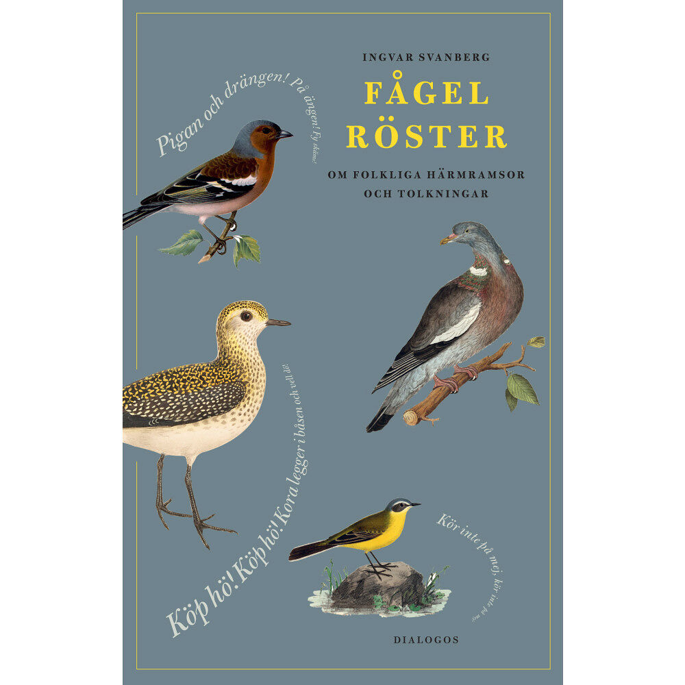Ingvar Svanberg Fågelröster : om folkliga härmramsor och tolkningar (inbunden)