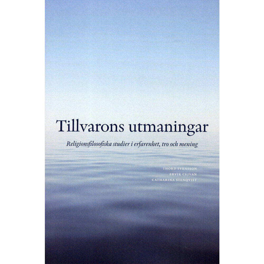 Artos & Norma Bokförlag Tillvarons utmaningar : religionsfilosofiska studier i erfarenhet, tro och mening (bok, danskt band)