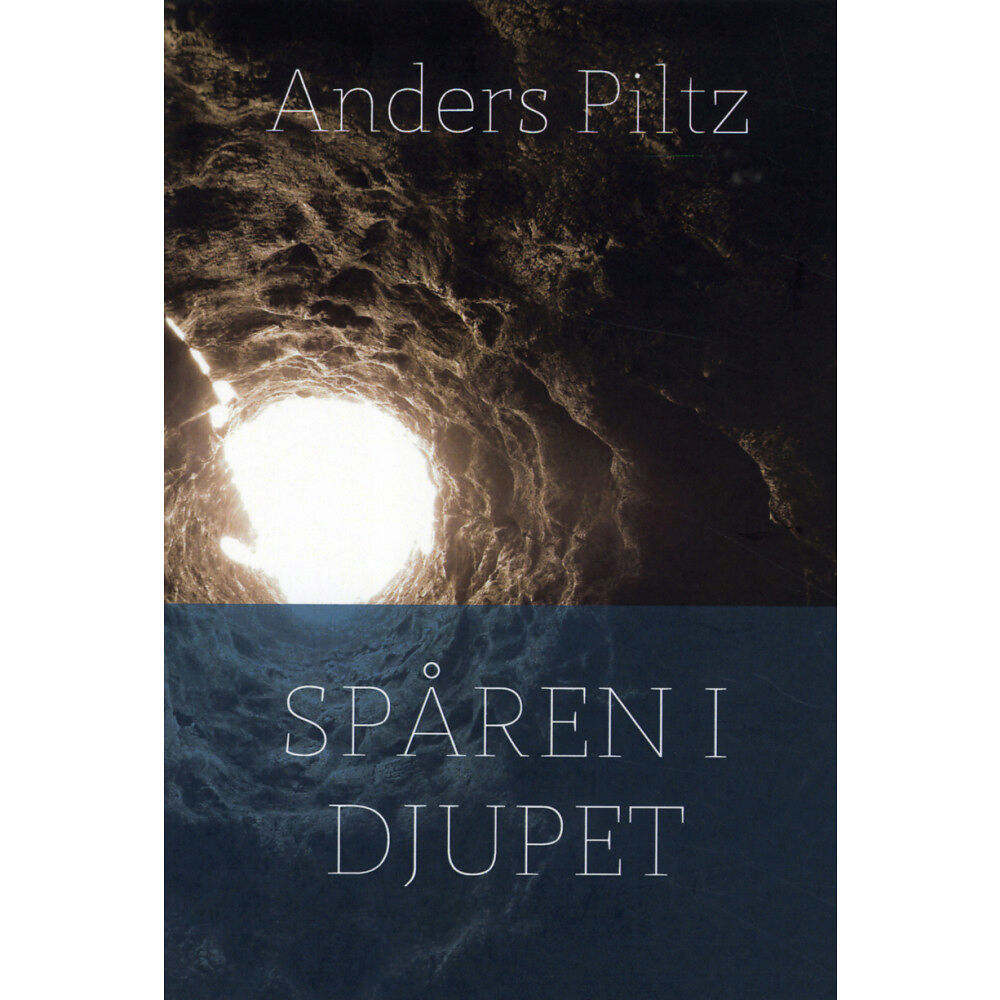 Artos & Norma Bokförlag Spåren i djupet : om det gudomliga ordets makt (bok, danskt band)