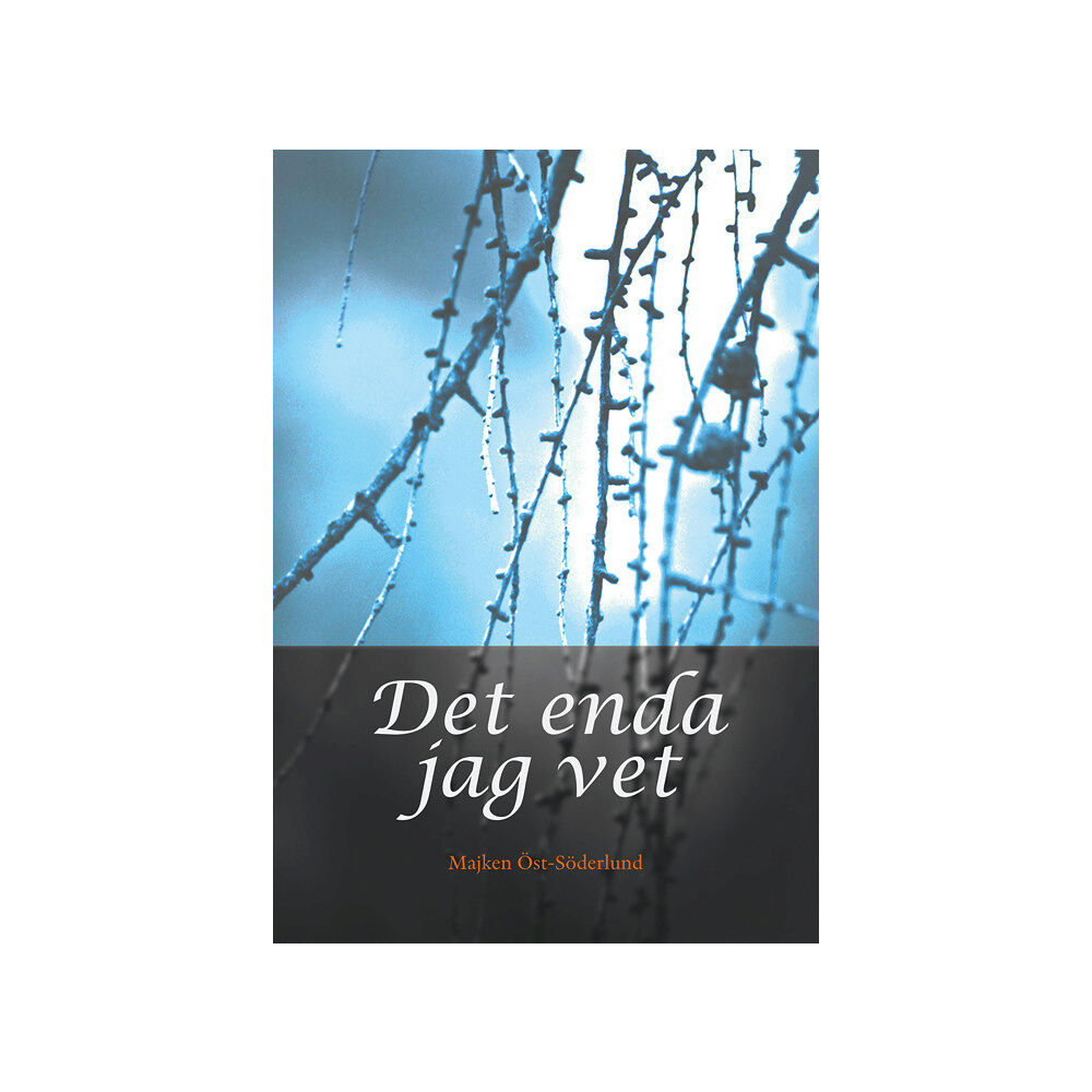 Majken Öst-Söderlund Det enda jag vet (bok, danskt band)